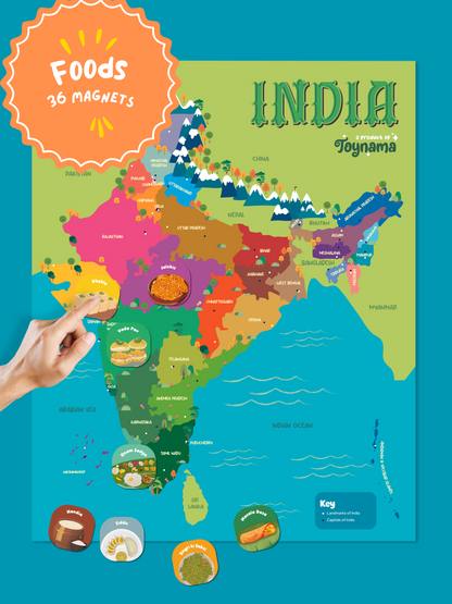 Toynama Interactive India Map for Kids - Wall Mountable Map with Capitals and Foods Magnetic Tiles Ages 5 and Up