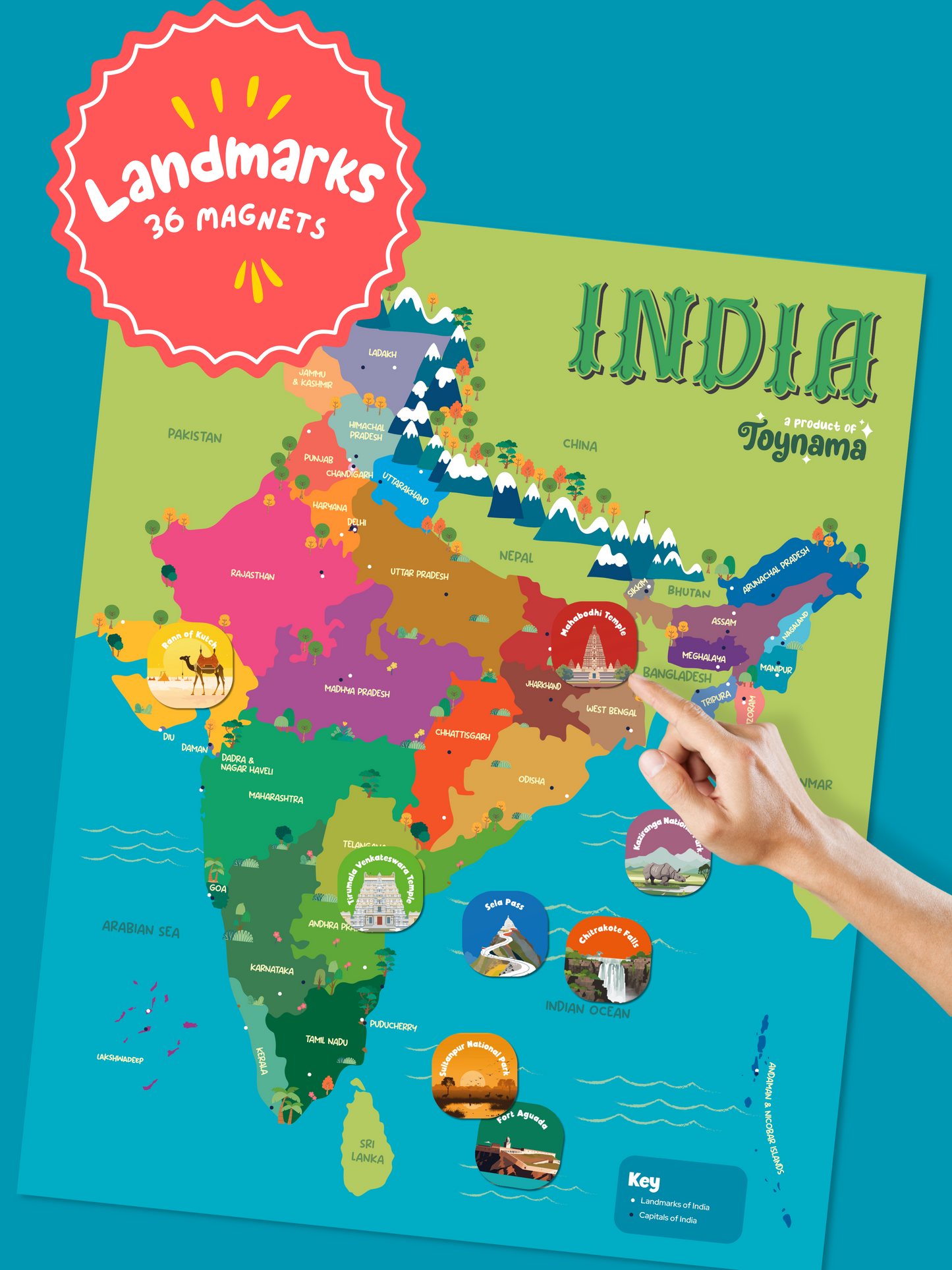 Toynama Interactive India Map for Kids - Wall Mountable Map with Capitals, Landmarks and Foods Magnetic Tiles Ages 5 and Up